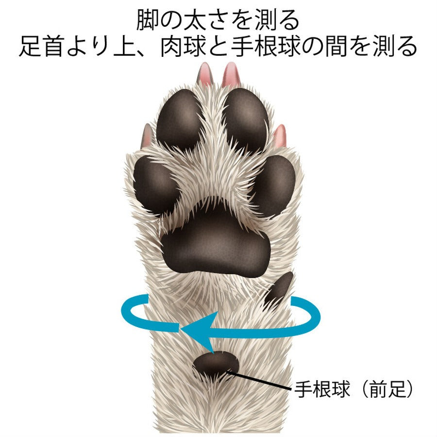DogSoxx210(ベージュ)