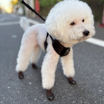 DogSoxx210(ブラウン)