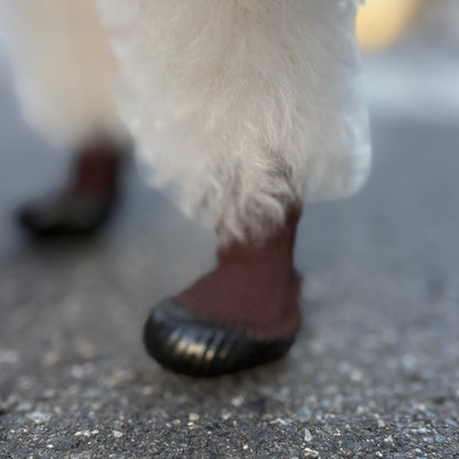 DogSoxx210(ブラウン)